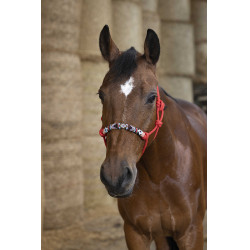 Ethologische halster Norton Pearl Rood