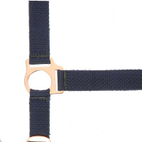 Licol + longe Norton Rose gold Noir