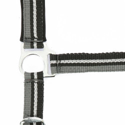 Licol + longe Norton Brillant Noir / gris / argent