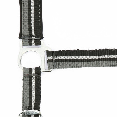 Licol + longe Norton Brillant Noir / gris / argent