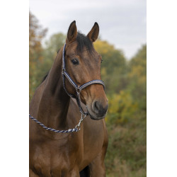 Halster + lijn Norton Brillant Taupe / marine / zilver Bruin