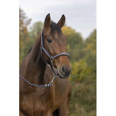 Halster + lijn Norton Brillant Taupe / marine / zilver Bruin