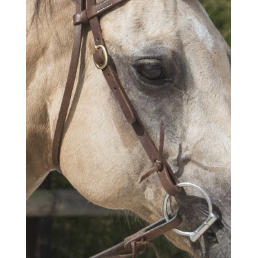 Bridon Westride by Franck Perret Colorado Chocolat Marron