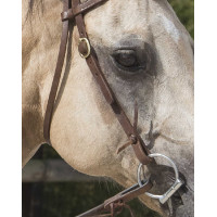 Bridon Westride door Franck Perret Colorado Chocolade Bruin