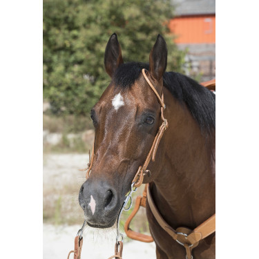 Bridon Westride by Franck Perret 1 oreille Noisette Marron