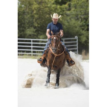 Jachtmartingaal Westride by Franck Perret Aurora Hazelnoot Bruin