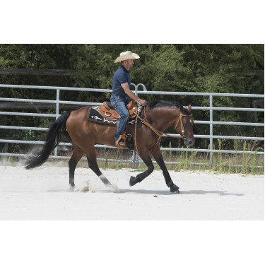 Selle Westride by Franck Perret Aurora Noisette Marron Selle Westride by Franck Perret Aurora Noisette Marron