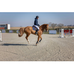 Gewatteerde jas Pro Series Diagonal Marineblauw