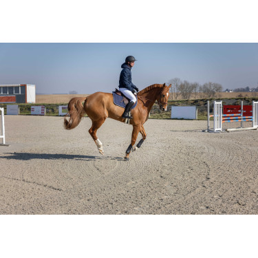 Gewatteerde jas Pro Series Diagonal Marineblauw