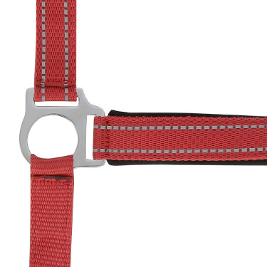 Licol Norton Reflective Rouge Licol Norton Reflective Rouge
