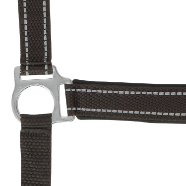 Licol Norton Reflective Chocolat Marron Licol Norton Reflective Chocolat Marron