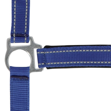 Licol Norton Reflective Bleu Licol Norton Reflective Bleu