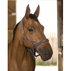 Licol Norton Reflective Bleu marine