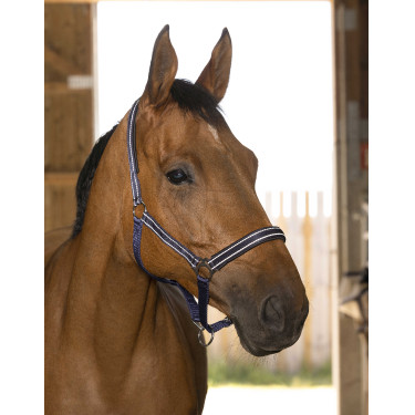 Licol Norton Reflective Bleu marine