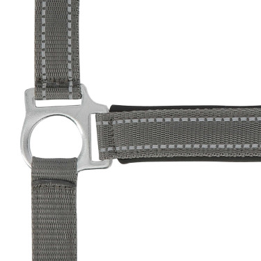 Licol Norton Reflective Gris Licol Norton Reflective Gris