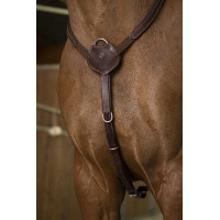 Collier de chasse Norton Pro Confort Havane Marron Collier de chasse Norton Pro Confort Havane Marron