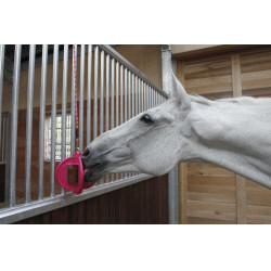 Jouet Bizzy Ball Likit Fuchsia Rose