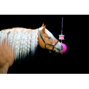 Steun voor liksteen Boredom Breaker Likit Fuchsia Roze Steun voor liksteen Boredom Breaker Likit Fuchsia Roze