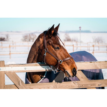 Equithème Tyrex 1200D gerecycleerde deken Taupe Bruin