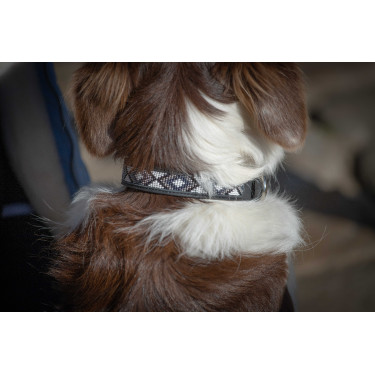 Halsband voor hond Pénélope Pearl Zwart / wit Halsband voor hond Pénélope Pearl Zwart / wit
