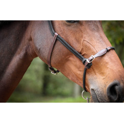 Licol Pénélope Éthologique Havane / noir Marron