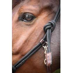 Licol Pénélope Éthologique Havane / noir Marron