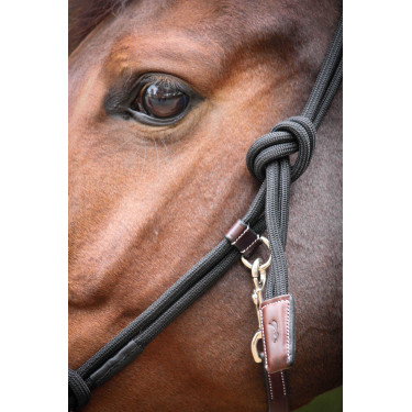Licol Pénélope Éthologique Havane / noir Marron