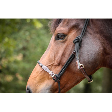 Licol Pénélope Éthologique Havane / noir Marron