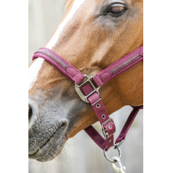 Licol Lami-Cell Sparkling Bordeaux