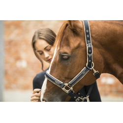 Licol Lami-Cell Elegance Marine / champagne Bleu