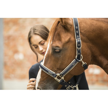 Licol Lami-Cell Elegance Marine / champagne Bleu