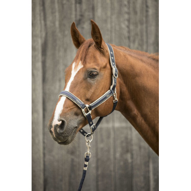 Licol Lami-Cell Elegance Marine / champagne Bleu