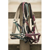 Licol Lami-Cell Elegance Bordeaux / champagne