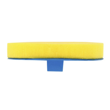 Étrille éponge intégrée Étrille éponge intégrée