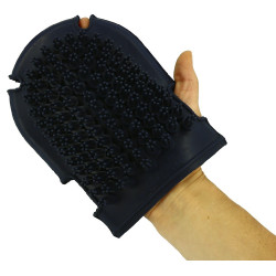 Handschoen met roskam + borstel