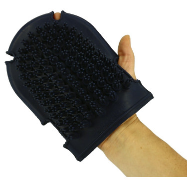 Handschoen met roskam + borstel