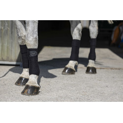 Bandes de polo Riding World Eco Noir