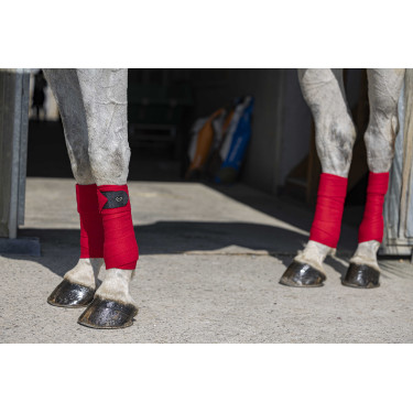 Polo bandages Riding World Eco Rood