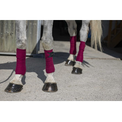 Bandes de polo Riding World Eco Bordeaux Bandes de polo Riding World Eco Bordeaux
