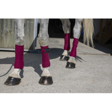 Polo bandages Riding World Eco Bordeaux