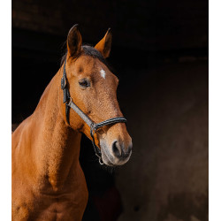 Nylon halster Equithème Domino Koper Bruin Nylon halster Equithème Domino Koper Bruin