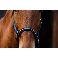 Nylon halster Equithème Domino Blauw