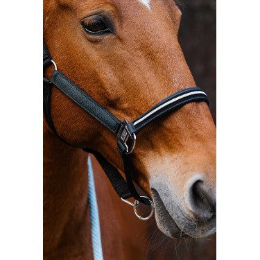 Licol nylon Equithème Domino Vert