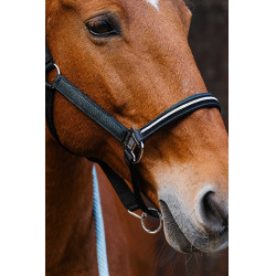 Nylon halster Equithème Domino Groen Nylon halster Equithème Domino Groen