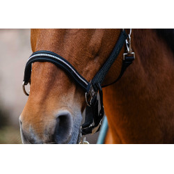Nylon halster Equithème Domino Groen Nylon halster Equithème Domino Groen