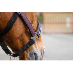 Nylon halster Equithème Domino Violet Nylon halster Equithème Domino Violet