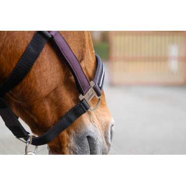 Nylon halster Equithème Domino Violet Nylon halster Equithème Domino Violet