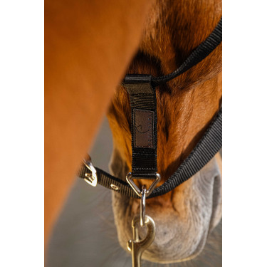 Nylon halster Equithème Domino Bordeaux Nylon halster Equithème Domino Bordeaux