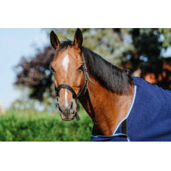 Chemise de présentation Riding World