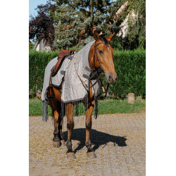 Werkshirt Riding World anti-vliegen Grijs Werkshirt Riding World anti-vliegen Grijs